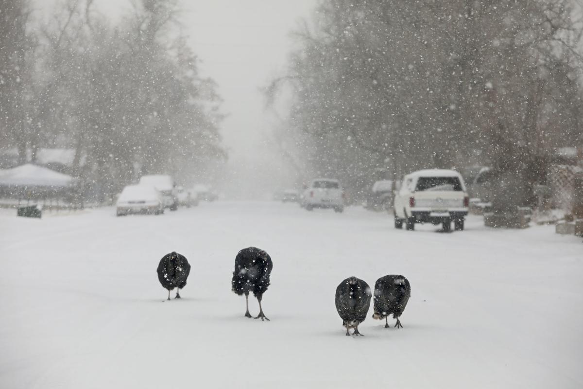 Gallery The Year In Photos From The Casper Star Tribune Casper Trib Com