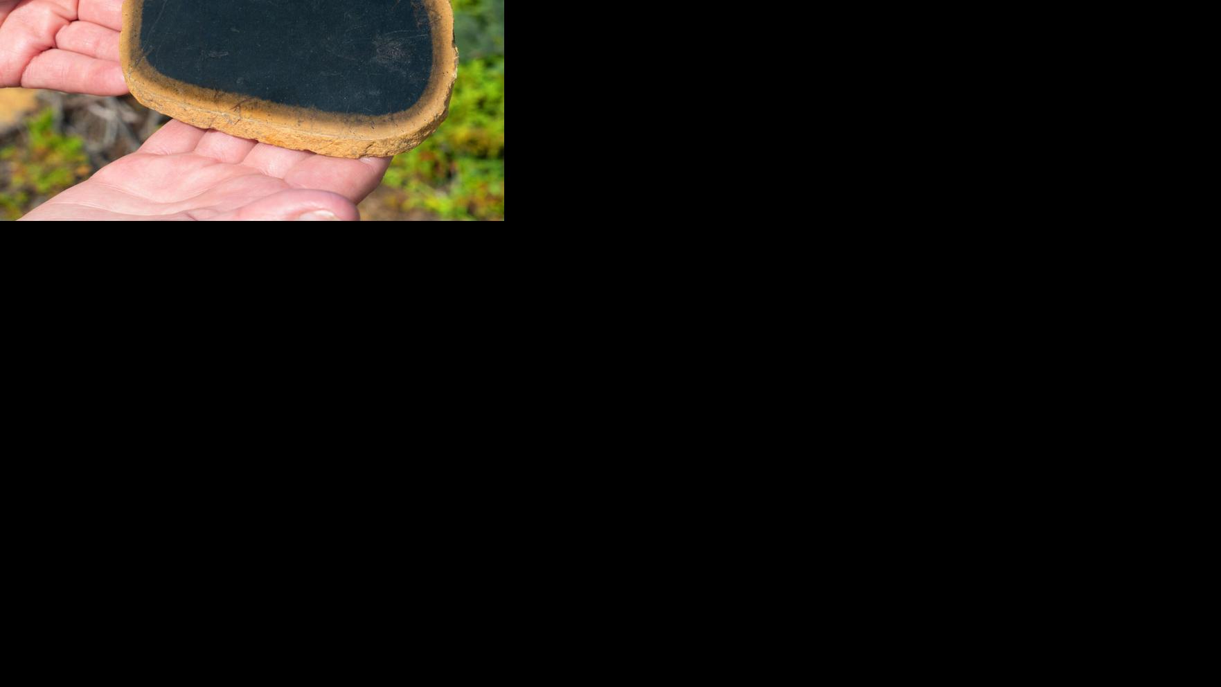 Asset-image