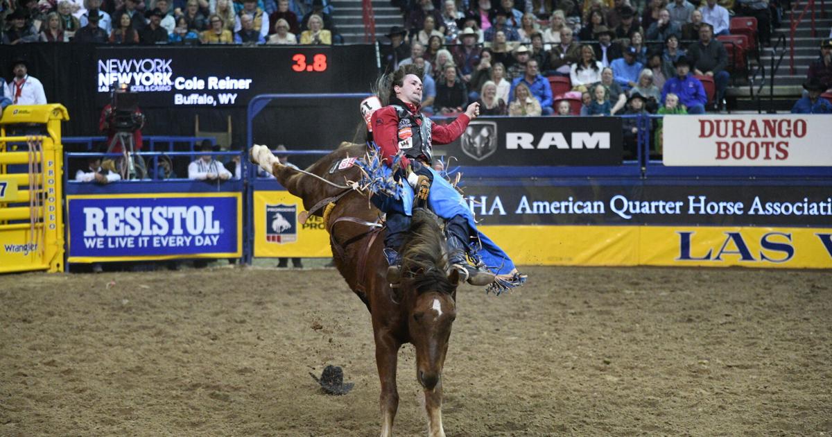Shad Mayfield Ties Arena Tie Down Mark In Round 6 Of National Finals Rodeo Shad Mayfield Ties Arena Tie Down Mark In Round 6 Of National Finals Rodeo