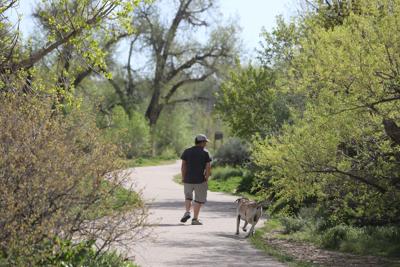 Dog days of spring