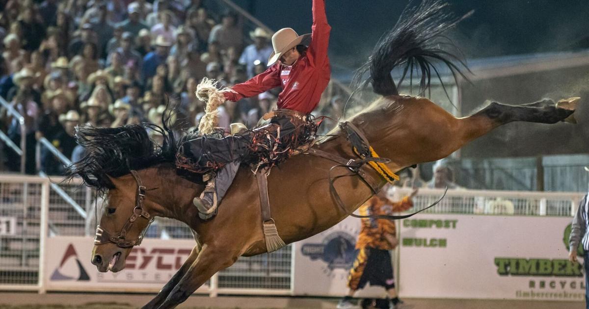 Low Ra Rodeo PRCA/WPRA rodeo standings through Aug. 18