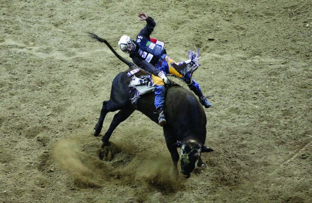 Pro rodeo: Shane Proctor wins first round of bull riding at National ...