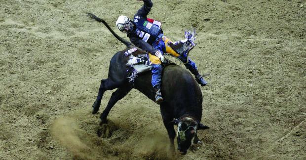 Pro rodeo: Shane Proctor wins first round of bull riding at National ...
