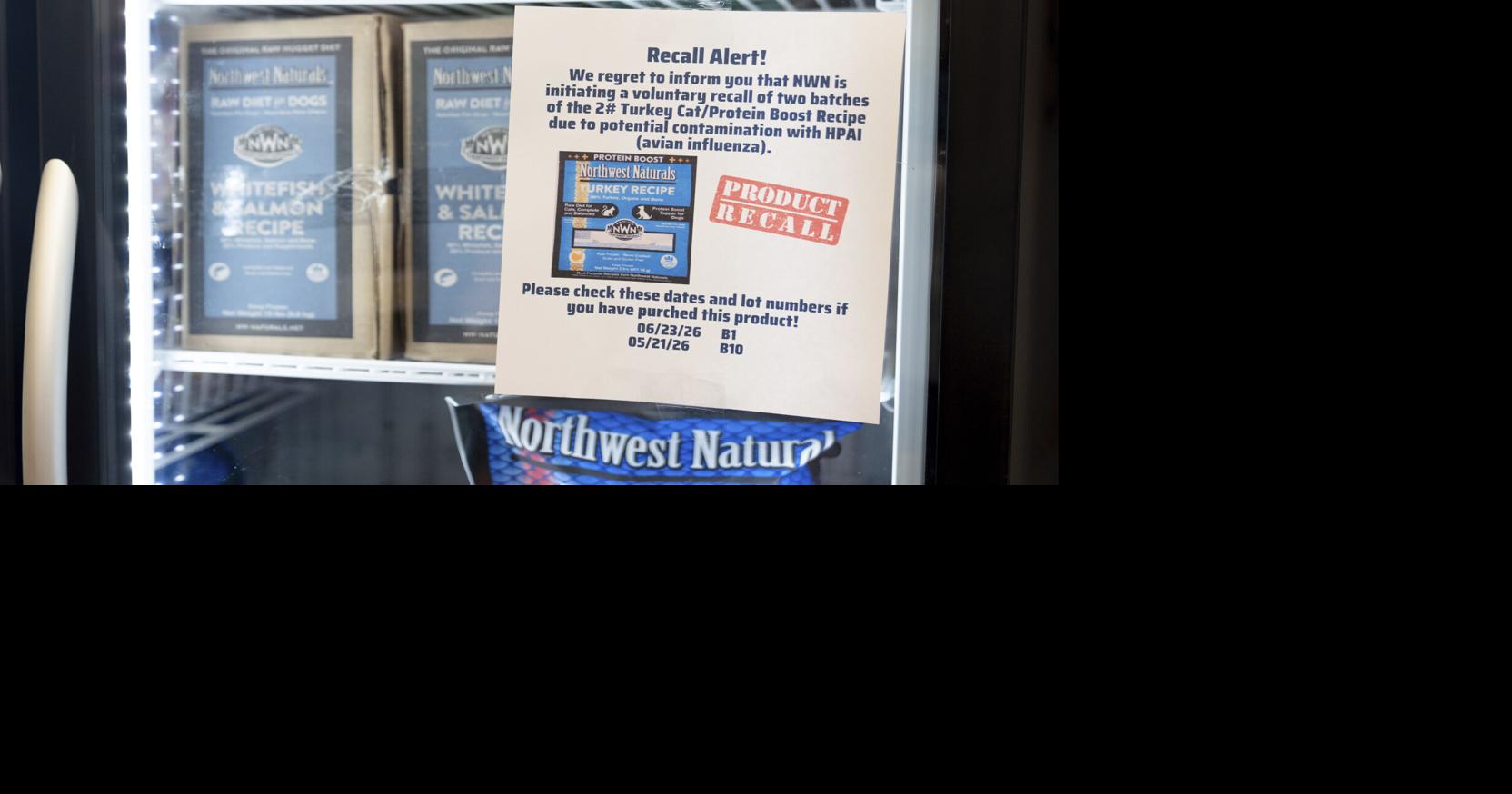 How to protect cats from bird flu