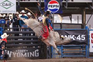Cody Stampede Xtreme Bulls