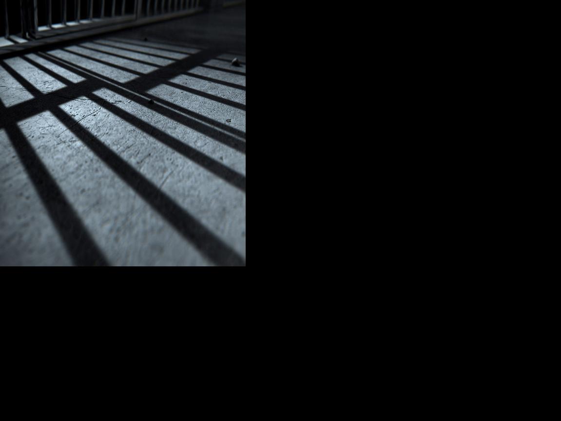 Asset-image