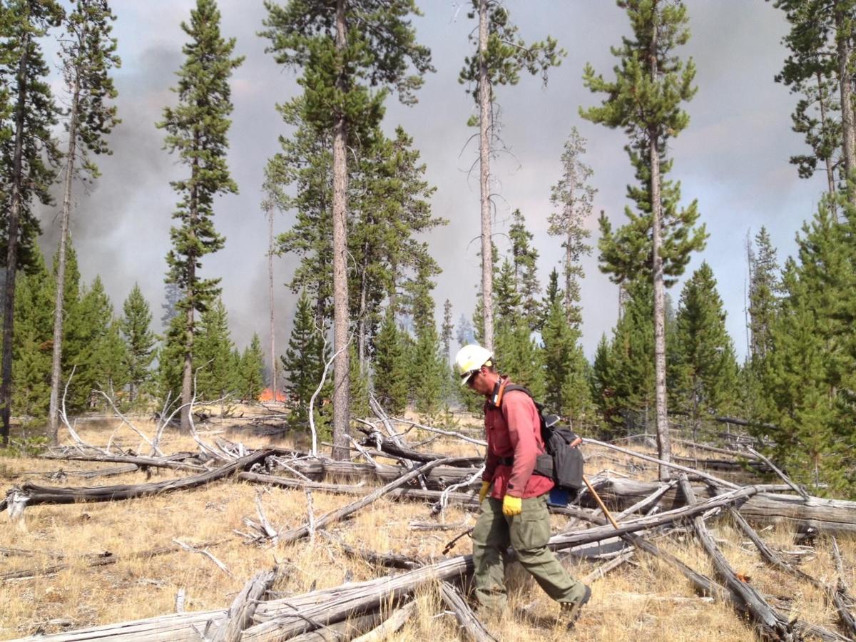 Yellowstone has biggest fire season since 1988 Wyoming News