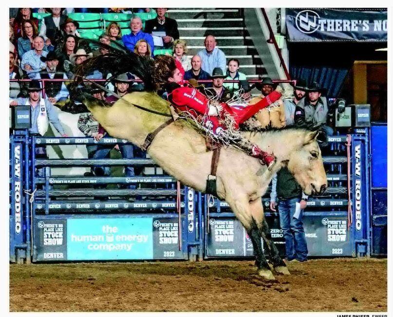 Rocker Steiner scored 90 points on Calgary