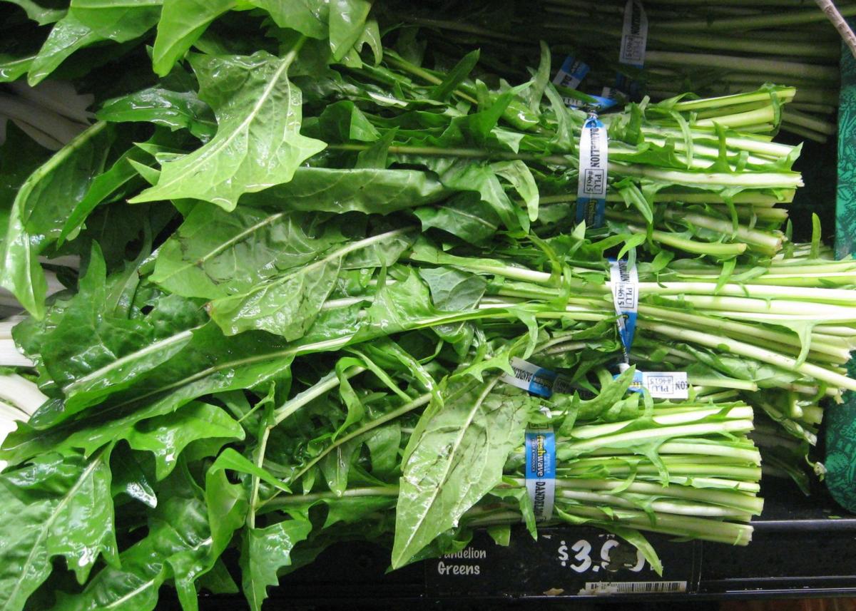 Growing dandelions on purpose — really?