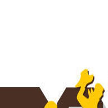 Wyoming Vs New Mexico Crunching Numbers Football Trib Com