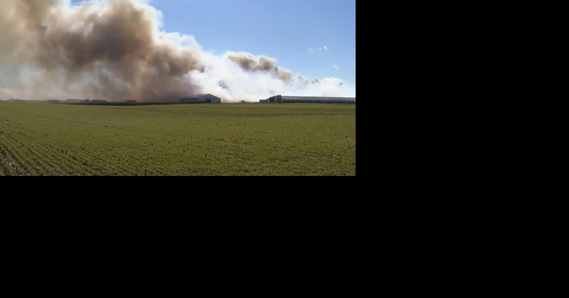 Fire at an Ohio farm complex kills about 6,000 hogs, smoke is visible for miles