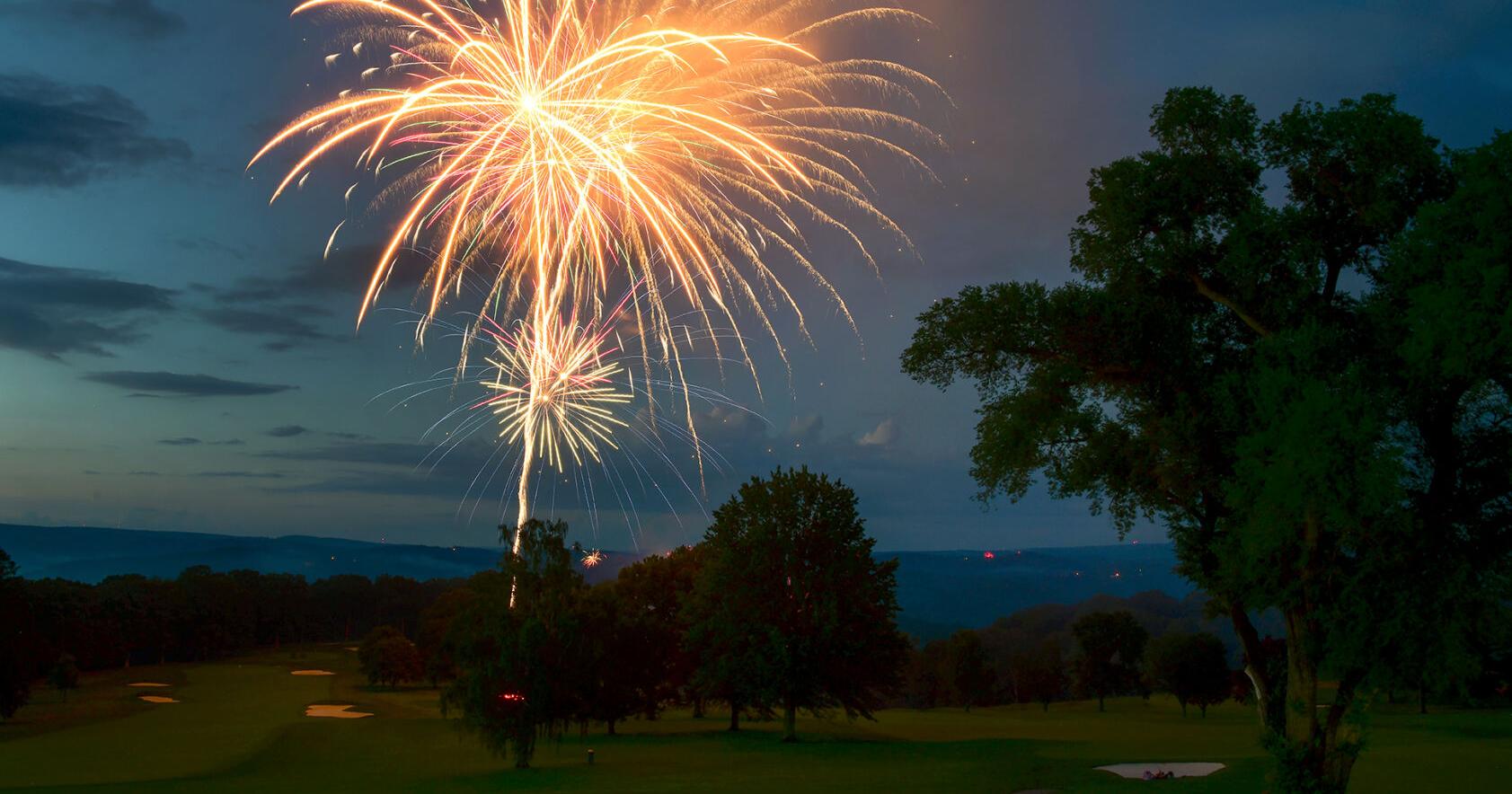 PHOTO GALLERY | Community events highlight Fourth of July holiday - Vimarsana News