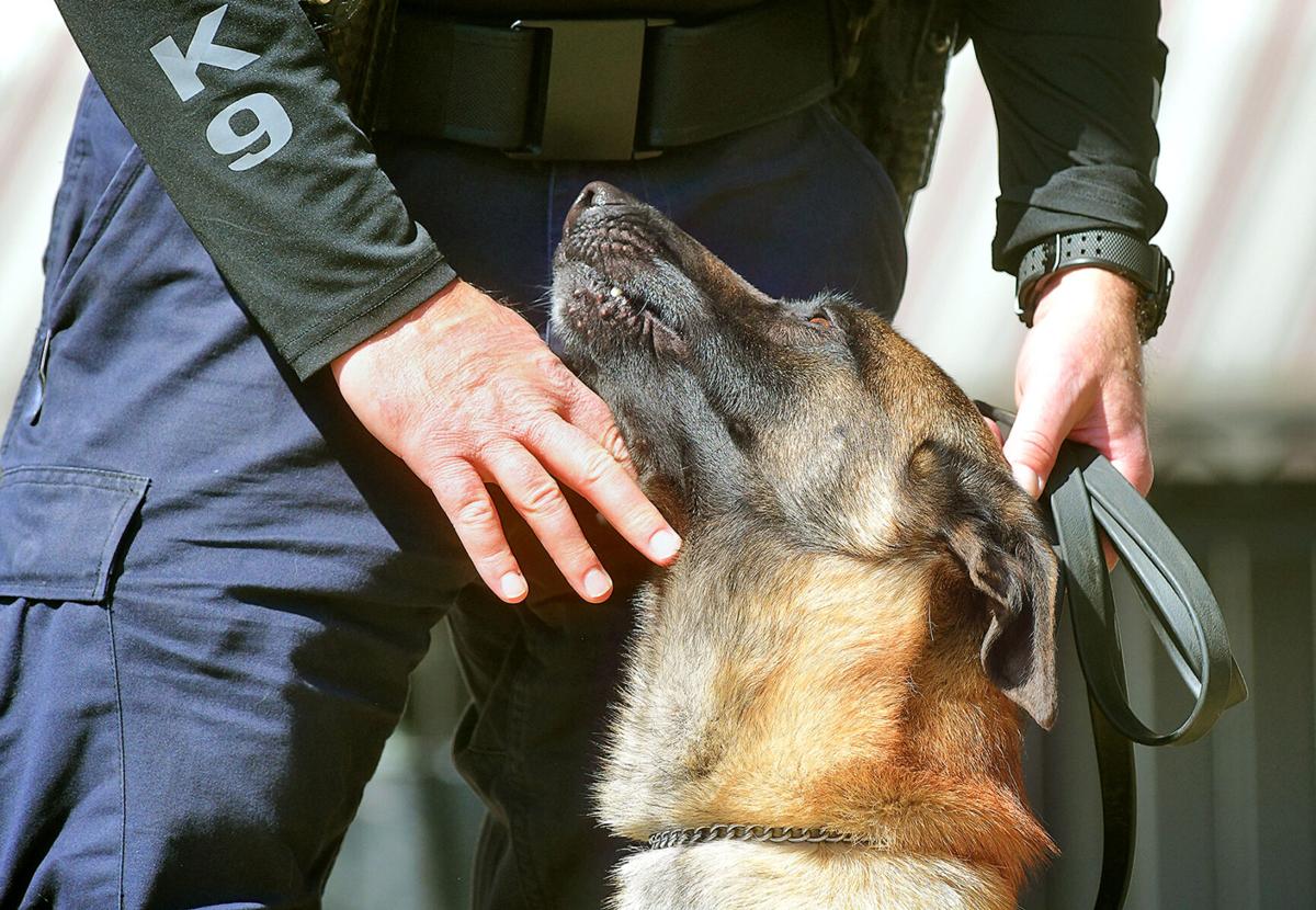 New JPD K-9's | Ripp & Archie