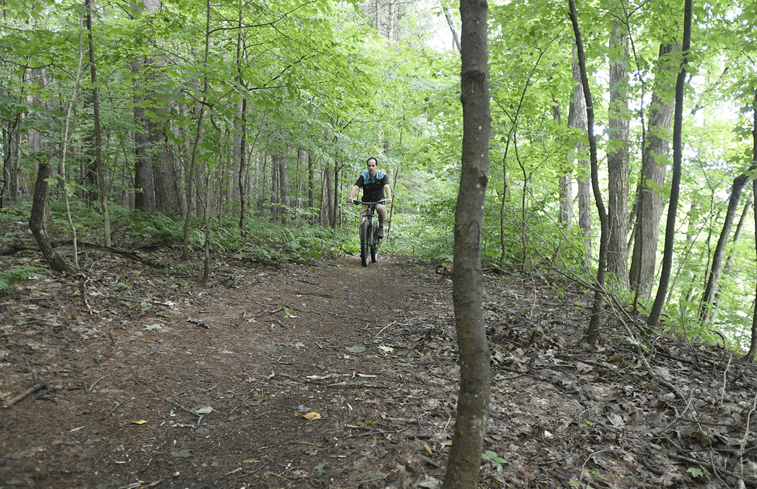 Walking and biking trails best sale near me