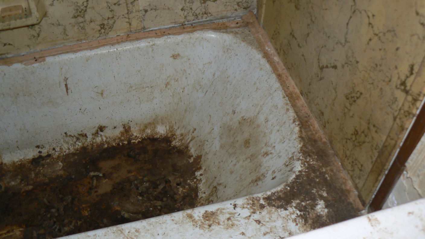 litter box in bathtub