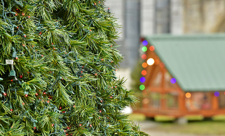 How Many Lights Were On The Christmas Tree In Johnstowns Central Park In 2022 Discover Downtown To Hold Last Lights In Central Park | News | Tribdem.com