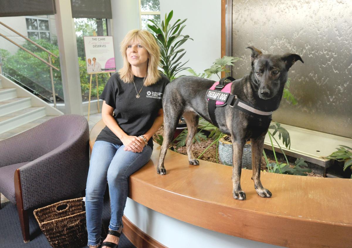 In the Spotlight | Dog helps Windber breast cancer ...