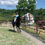 In the Spotlight | Training horses with Nicole Wallace