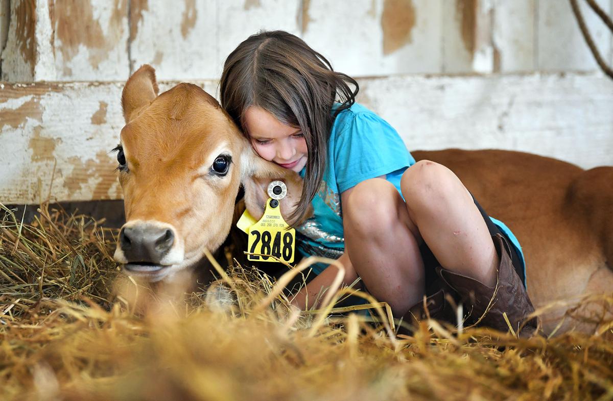 Cambria County Fair 2022