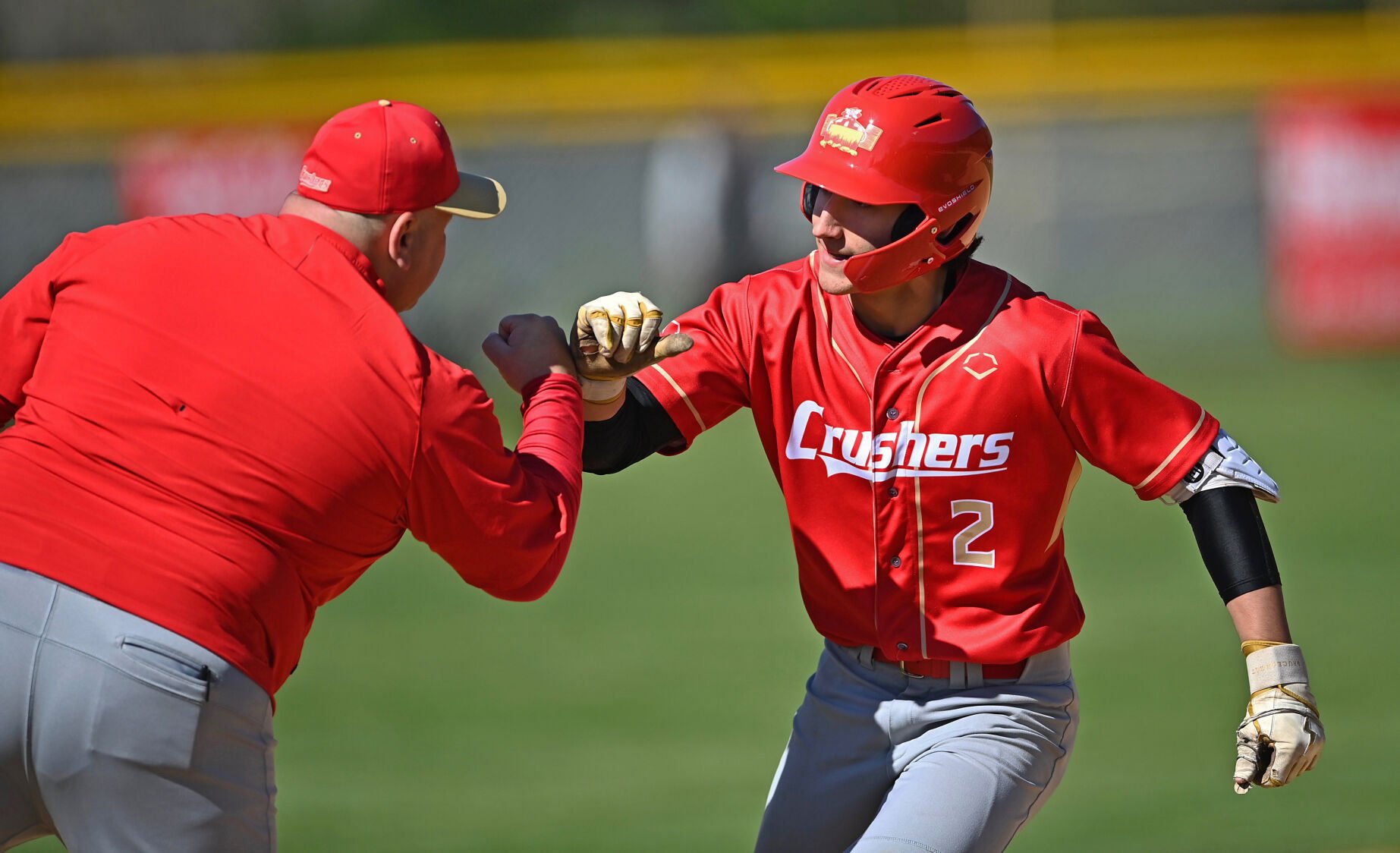 Baseball and Softball Roundup: Bishop McCort, Riverview, Rockwood Victorious