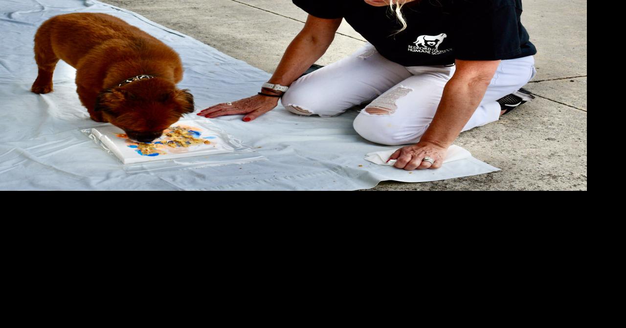 Bedford County Humane Society to offer artistic pup gathering ...