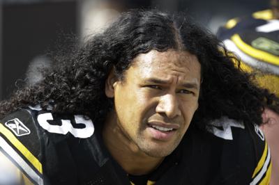 Polamalu Good To Go Despite Head Injury Local Sports Tribdem Com