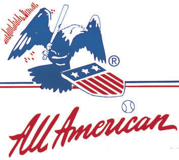 American Amateur Baseball Association