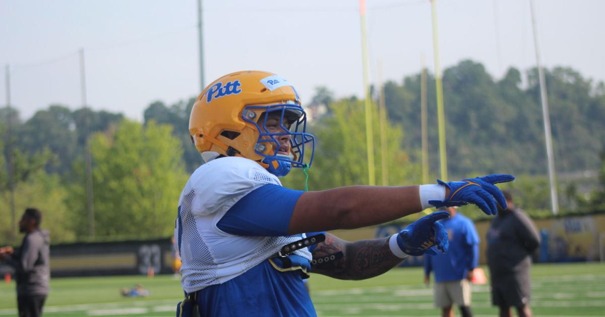 Pitt football Competition heating up for spots on Panthers' DL depth