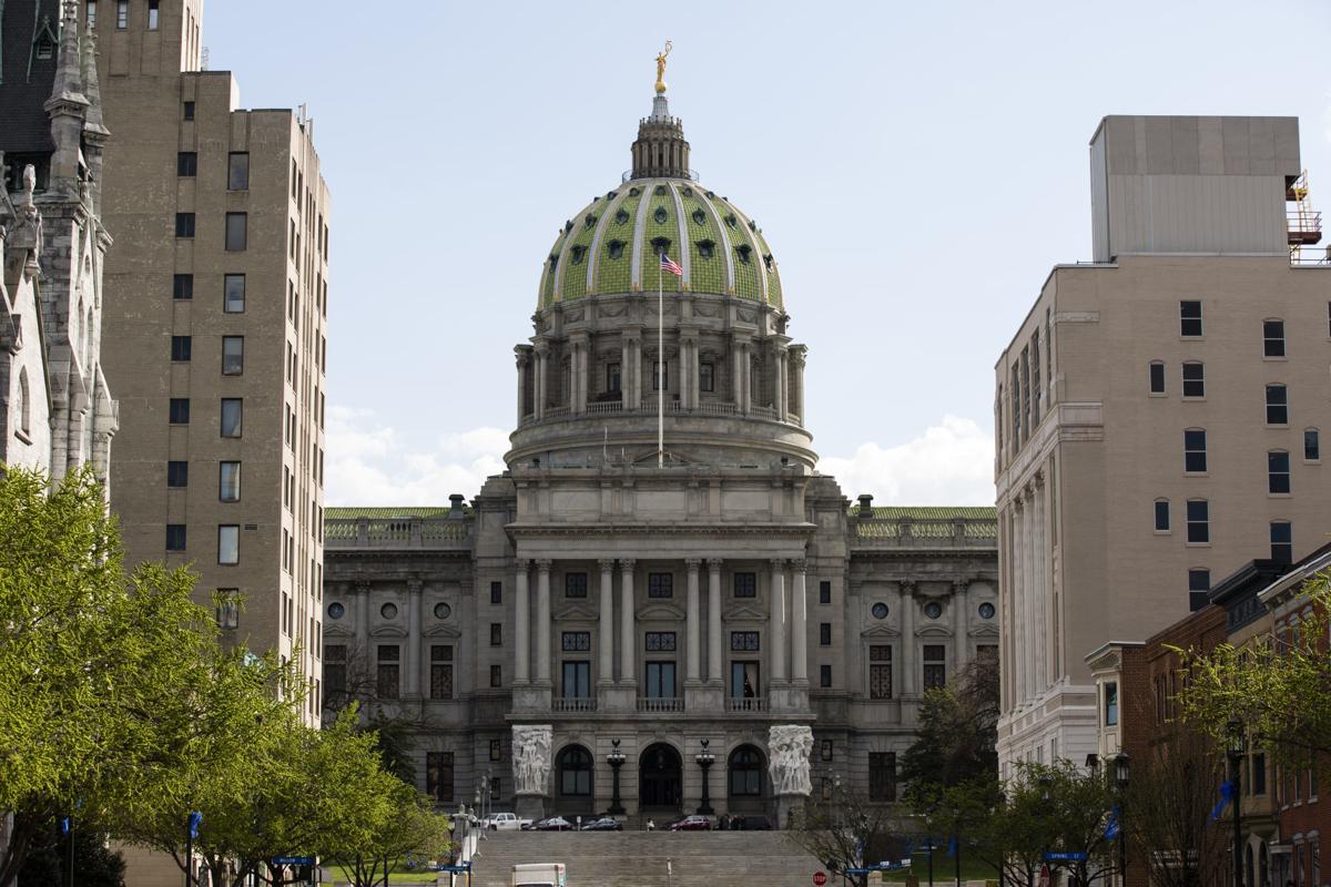 GOP lawmakers roll out Second Amendment sanctuary bill | News ...