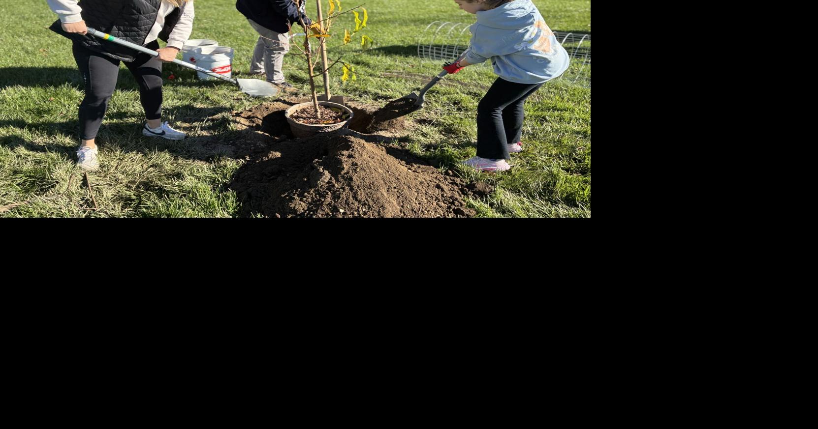 Vision Together brings tree-planting initiative to local schools ...