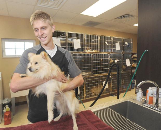 A dream come true: Forest Hills grad returns home to open veterinary clinic  | News 