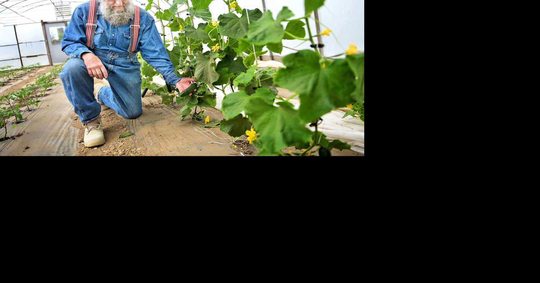 'Using more technology' Windber area farm gets 5K grant, adapts