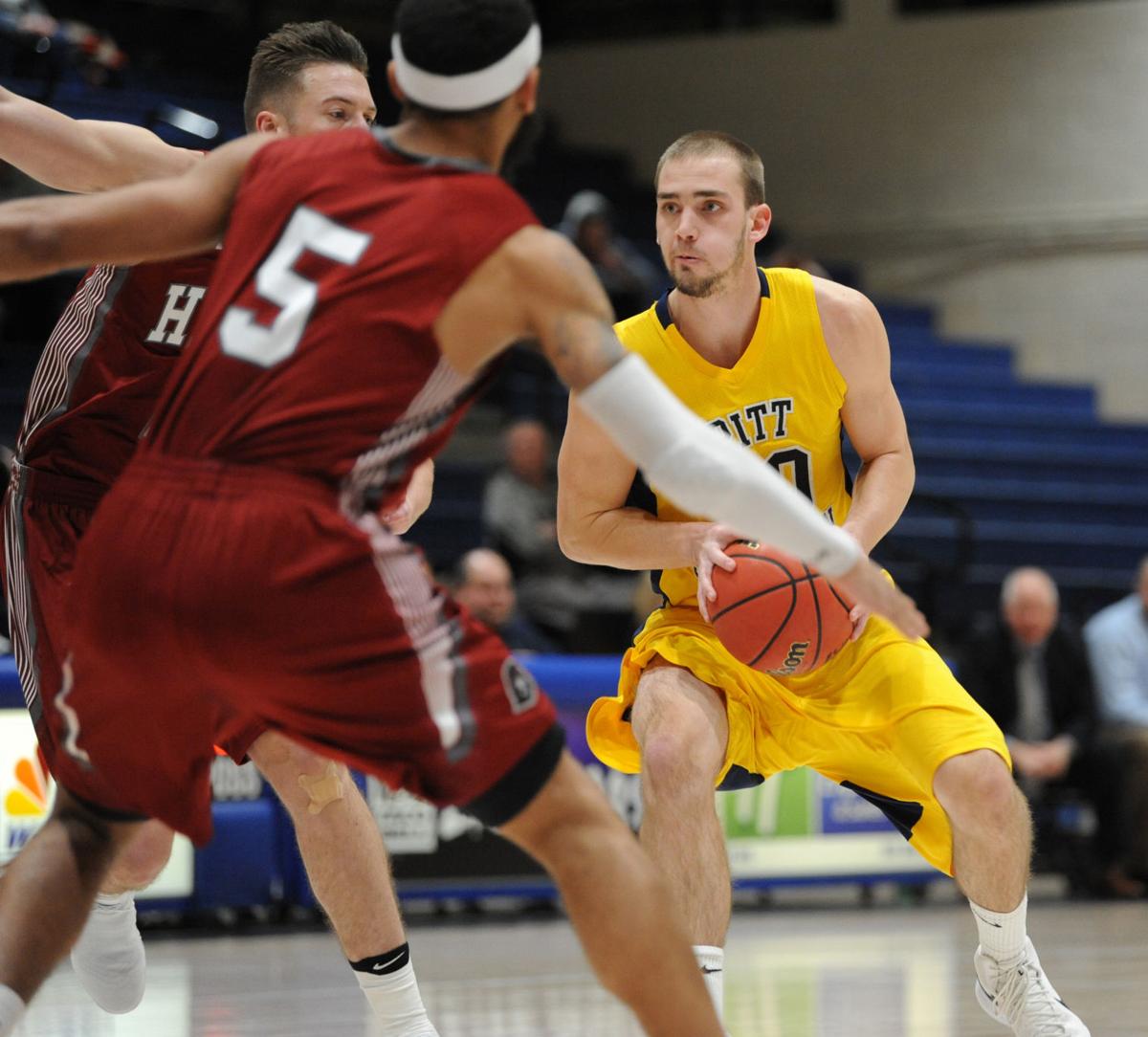 Upj S Vescovi Receives Honor Sports Tribdem Com