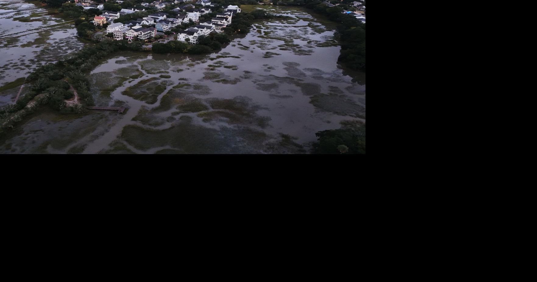 Friends in South Carolina restoring a wetland, bringing neighborhood together