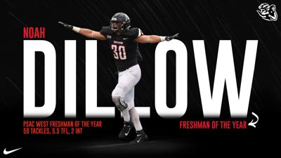 Chestnut Ridge Grad Dillow Named Top Freshman At California Pa