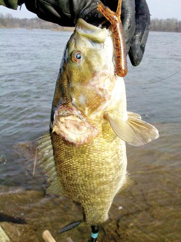 Outdoors officials reeling in frustration over splotches on river bass, Local News