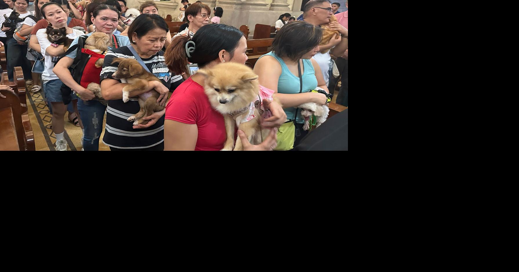 Wagging tails fill Malate Church as priests bless pets for St. Francis feast