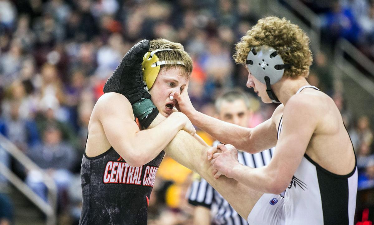 Area wrestlers fall short in quest for PIAA championships Sports