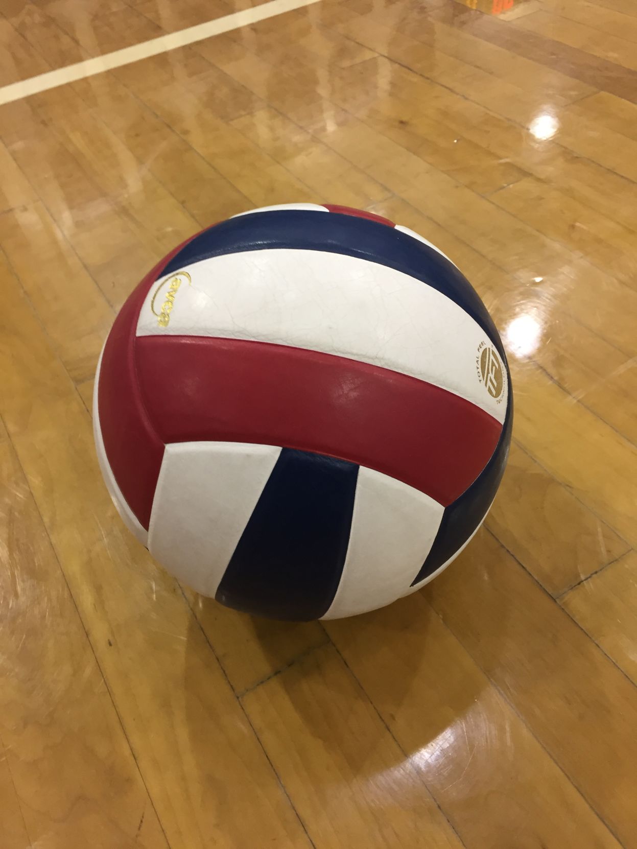 Forest Hills travels to DuBois to begin District 6-9 boys volleyball playoffs