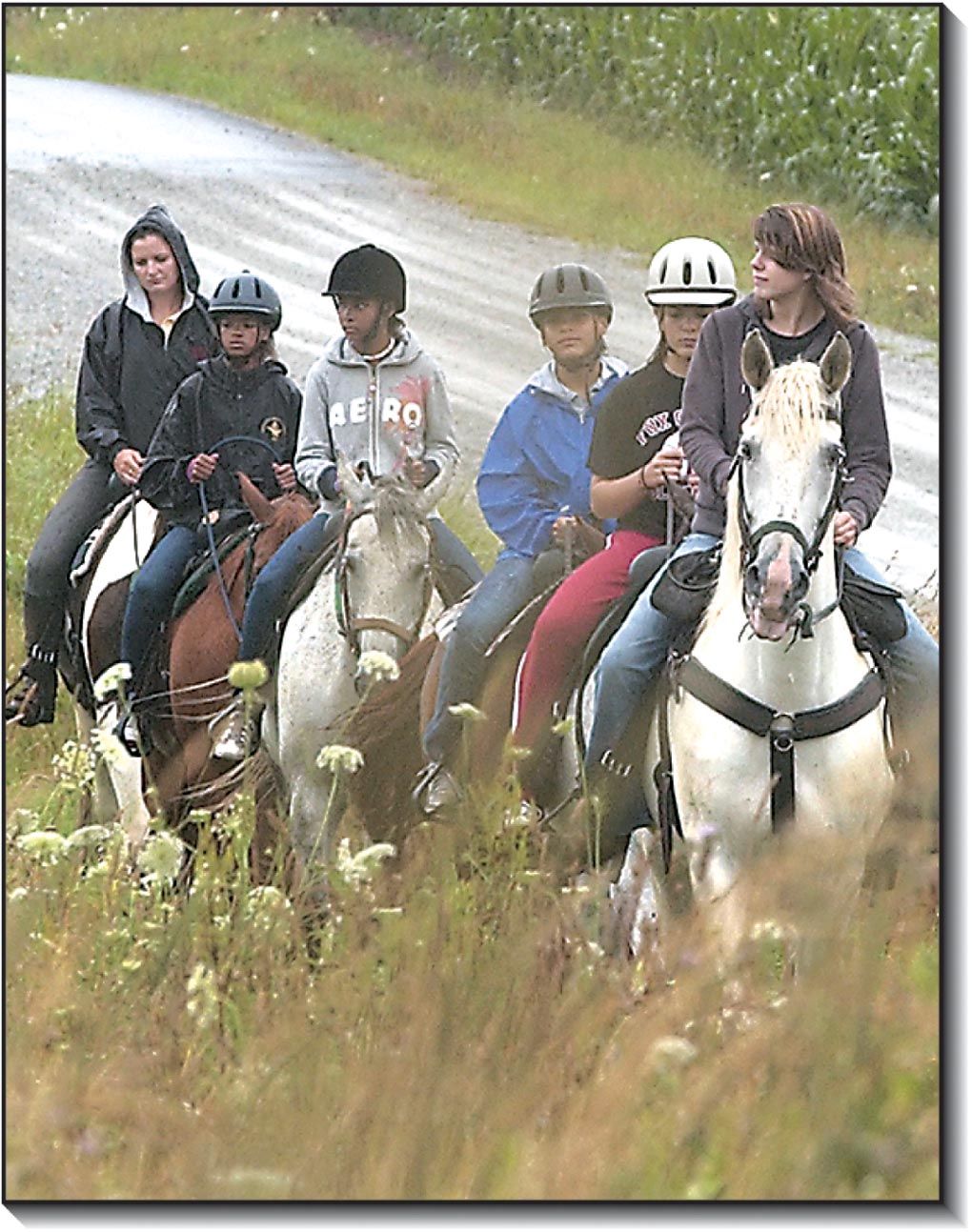 Seven springs horse clearance camp