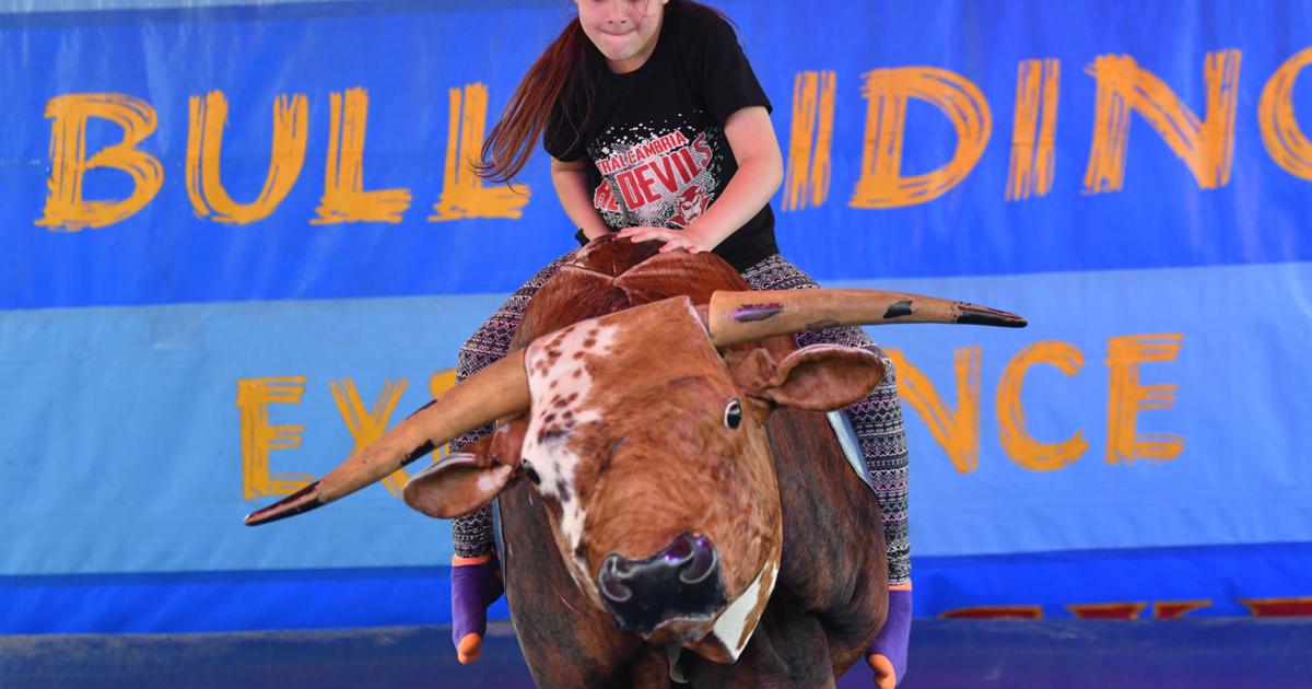 Cambria County fair organizers prepare for comeback Local News