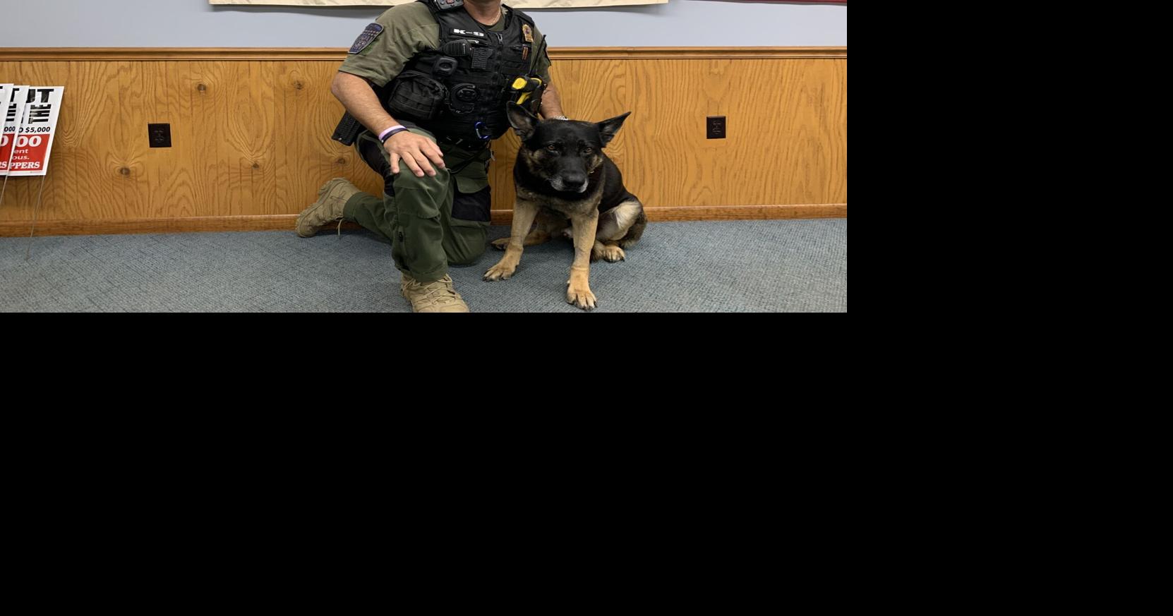 Front Lines | Chief: South Fork police dog ‘back in the groove’ after cancer surgery | News