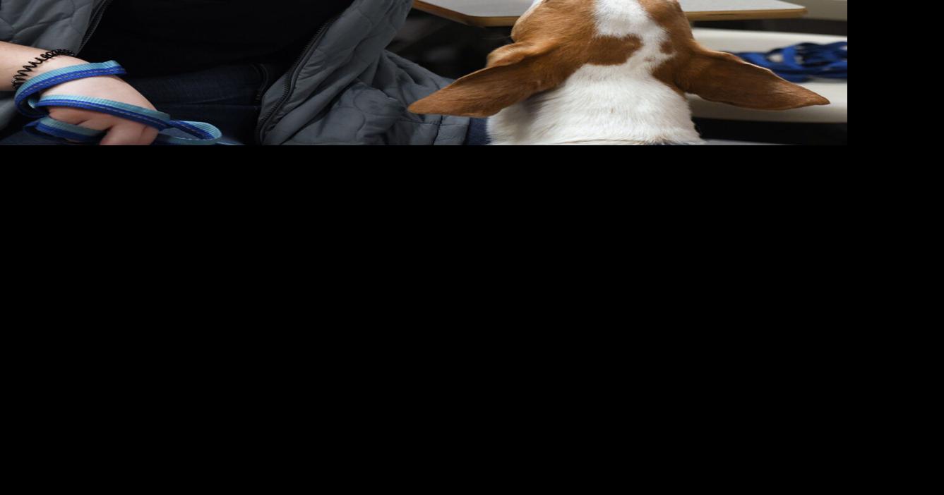 PHOTO GALLERY | Canine Learning & Behavior Class | Multimedia | tribdem.com