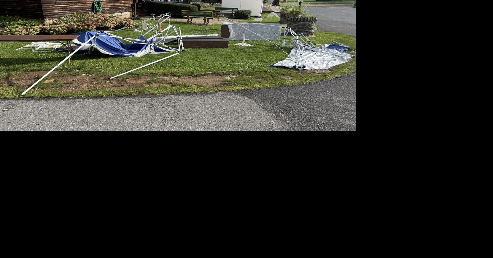 Log House Arts Festival canceled due to storm damage in Westmont