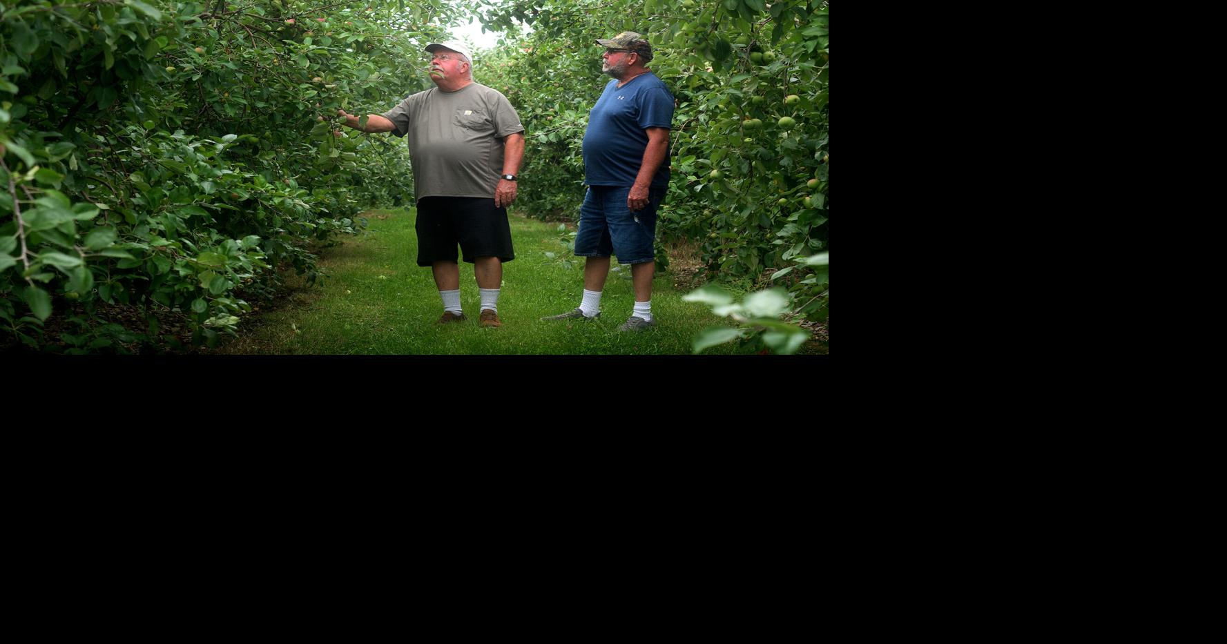 PHOTO GALLERIES | Bedford County orchards hit hard after spring freeze