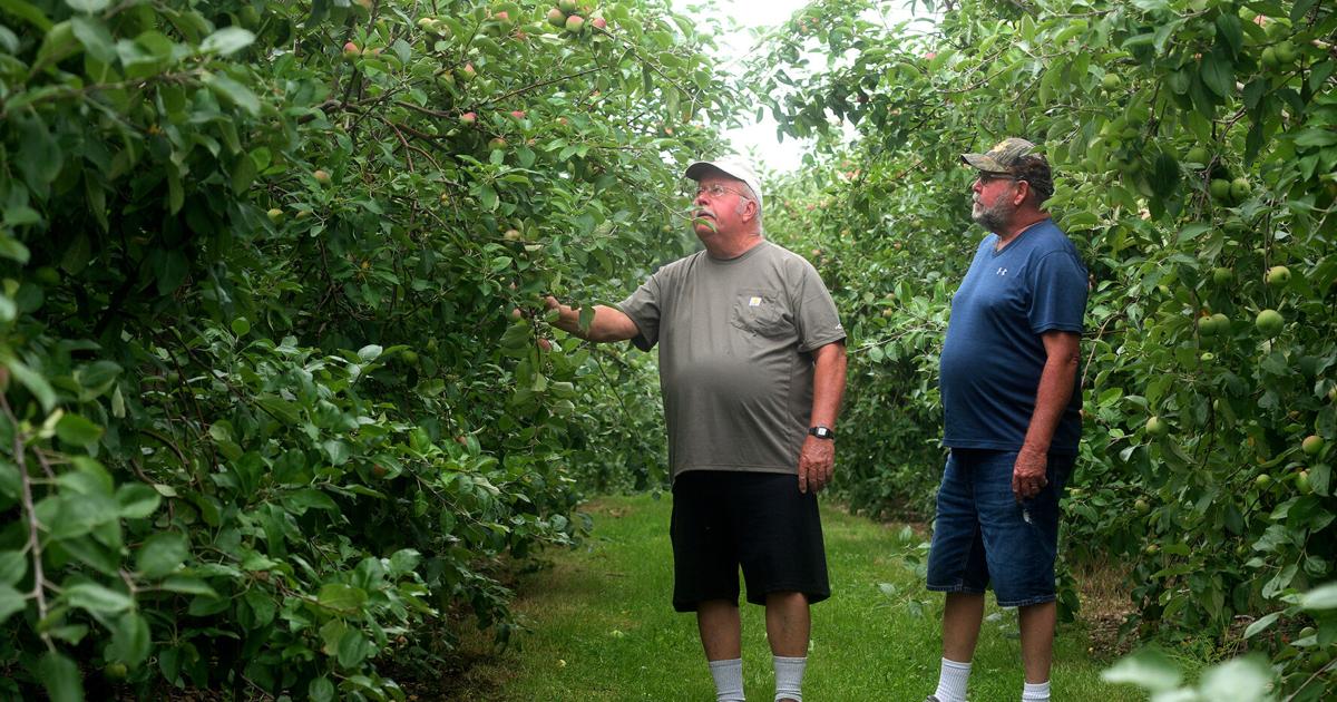 PHOTO GALLERIES | Bedford County orchards hit hard after spring freeze