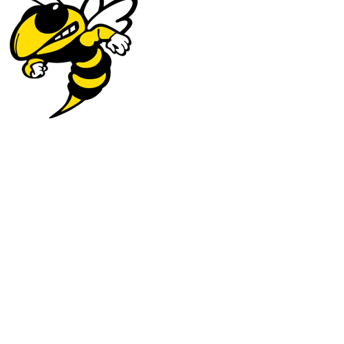 Ferndale Area School Board takes no action on cheer co-op