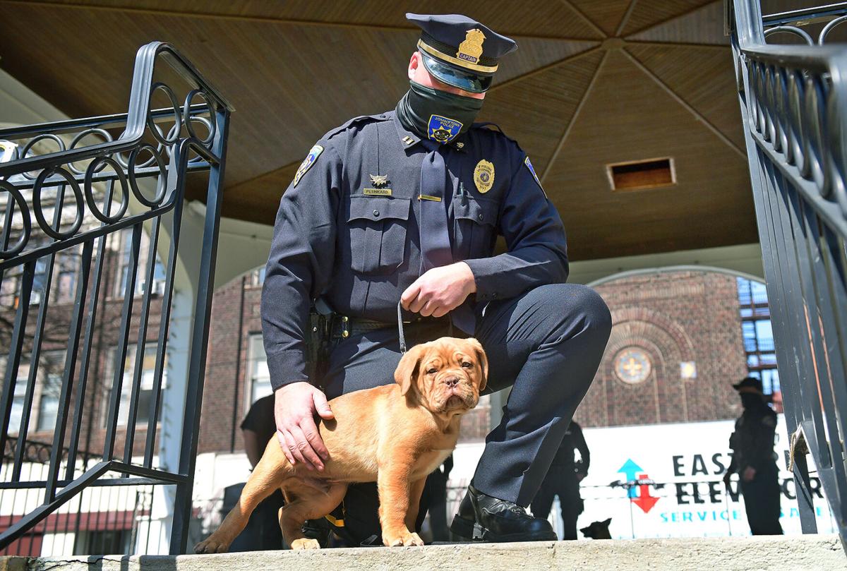 New JPD K-9's | Ripp & Archie