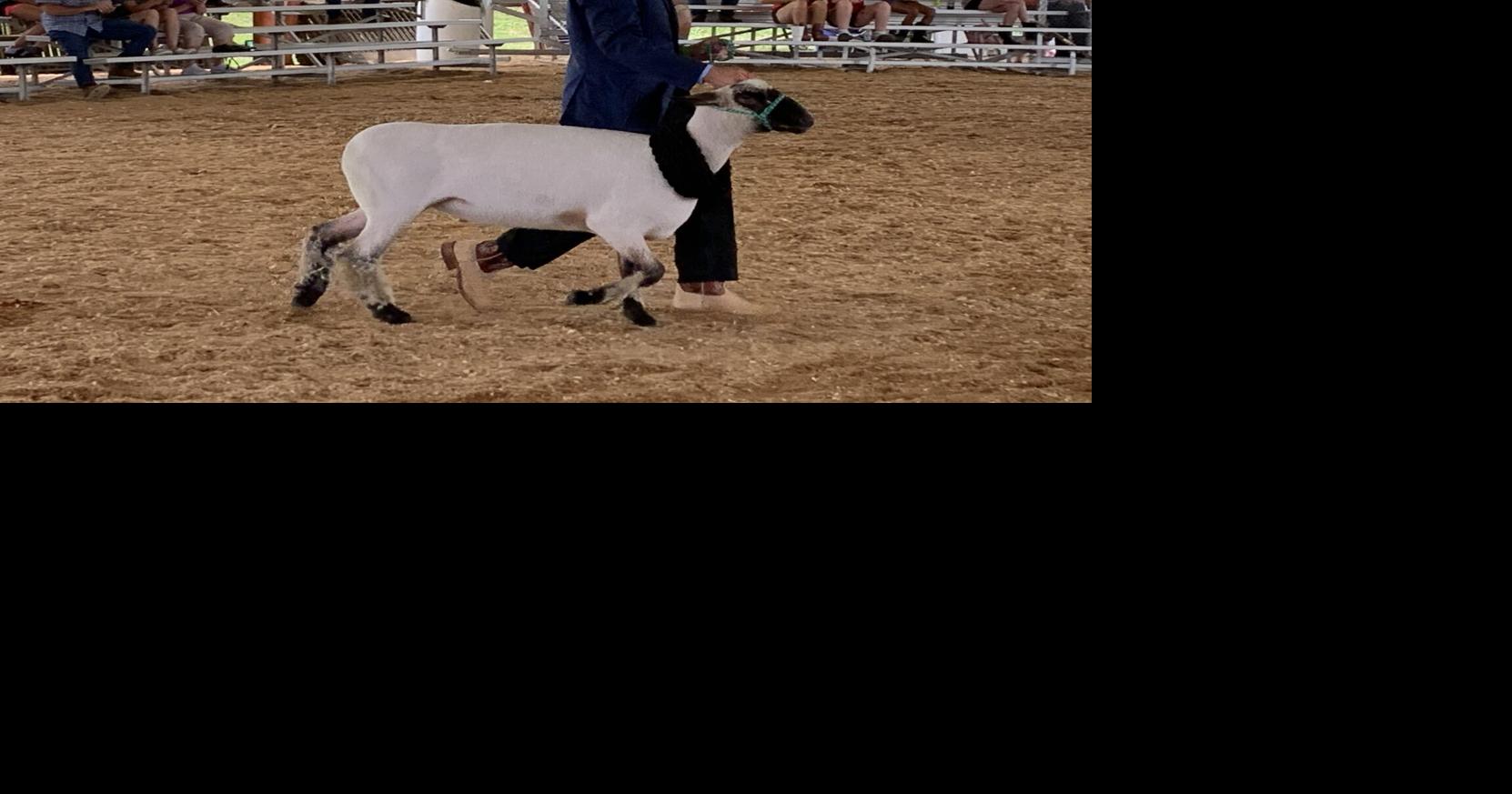 'So grateful to be here': Bedford County Fair begins with rides, rope tricks and agriculture displays