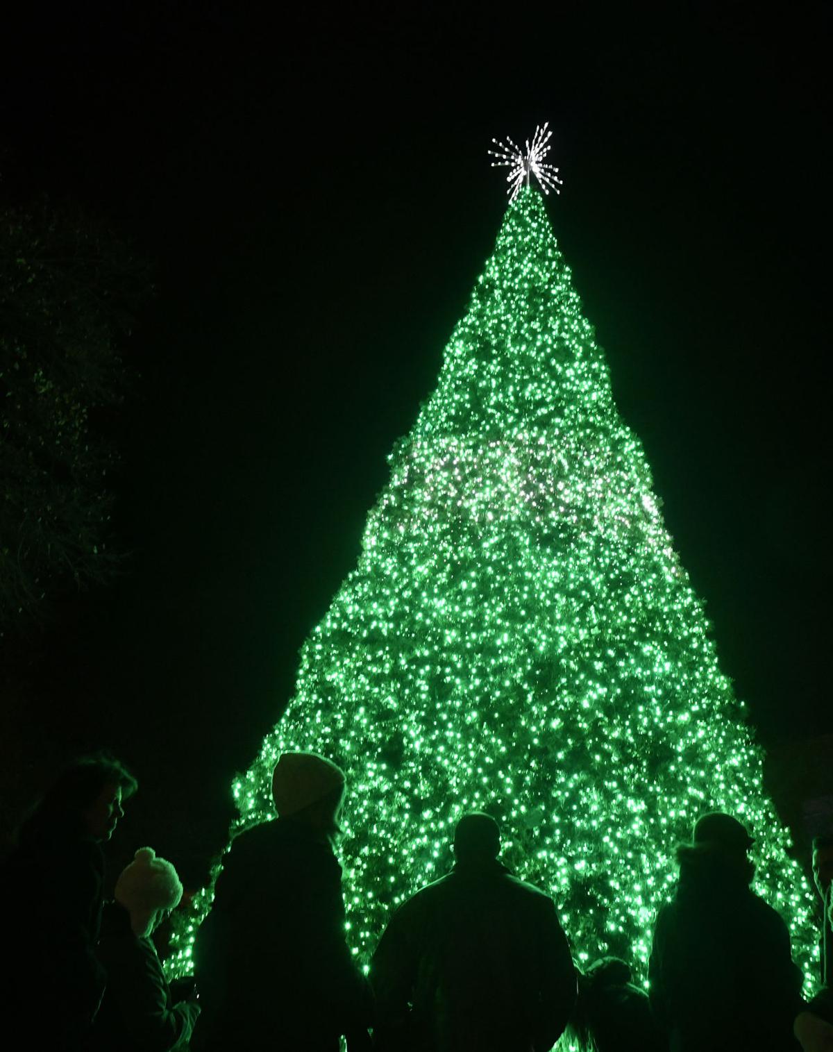 How Many Lights Were On The Christmas Tree In Johnstowns Central Park ...